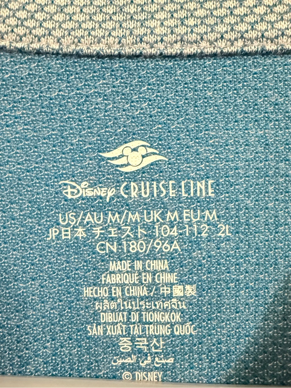 Disney Lookout Cay Quarter-Zip Pullover with Embroidered Crest NWT medium - Picture 3 of 6